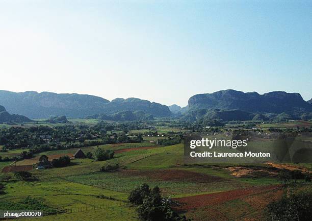 cuba, pinar del rio, landscape - pinar del rio stock-fotos und bilder