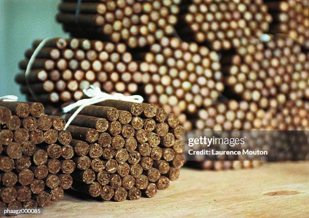 cuba, havana, bundles of cigars - mouton stock pictures, royalty-free photos & images