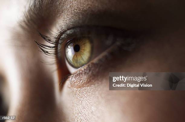 a close up shot of a beautiful green eye - close up eye stockfoto's en -beelden