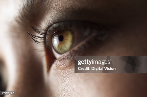 A close up shot of a beautiful green eye A close up shot of a beautiful green eye