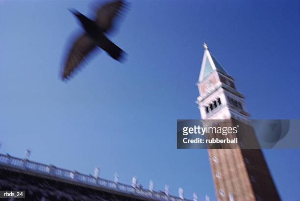 a bird flies by a pointed building - bird stock-fotos und bilder