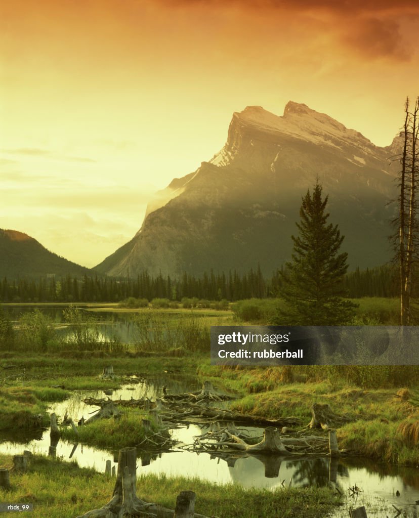 A sunset over a mountain meadow