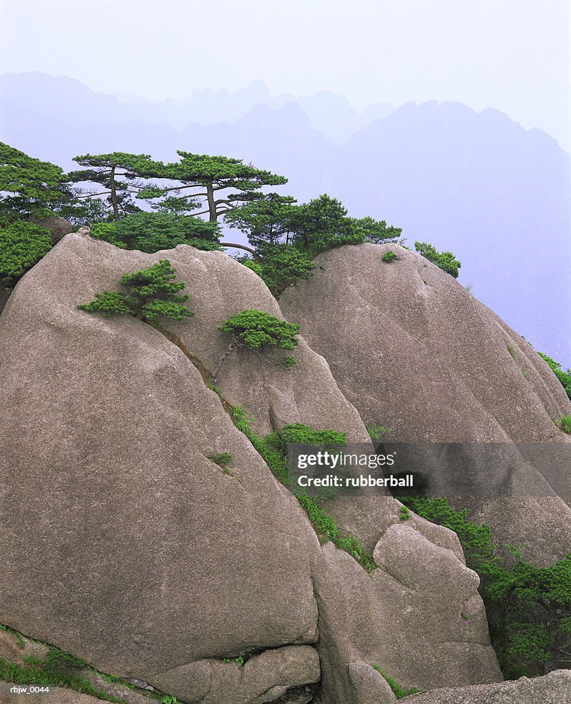 A vertical image of smooth tree lined rock in china