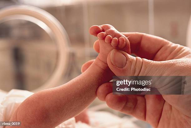 small premature baby lies in an incubator a grown hand reaches in grasping the foot in caring manner - piede umano foto e immagini stock