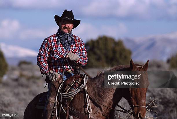 a horizontal portrait of a caucasian cowboy - werkdier stockfoto's en -beelden