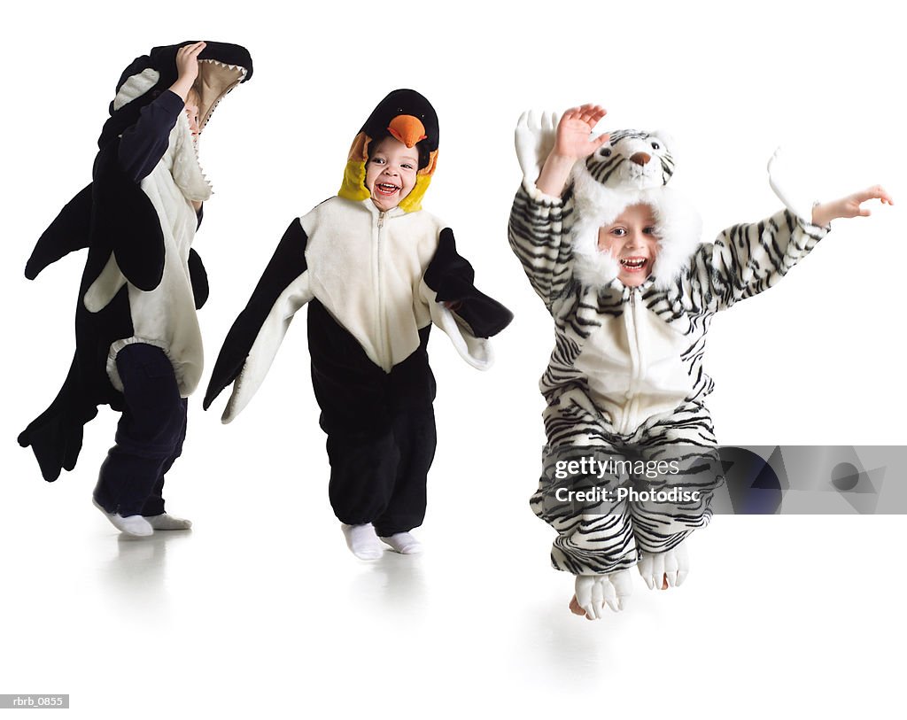 Silhouette of a group of young children dressed in funny animal costumes