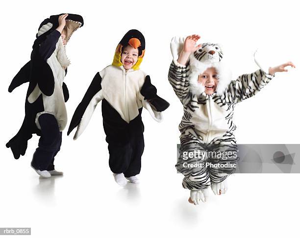 silhouette of a group of young children dressed in funny animal costumes - animal themes stock pictures, royalty-free photos & images