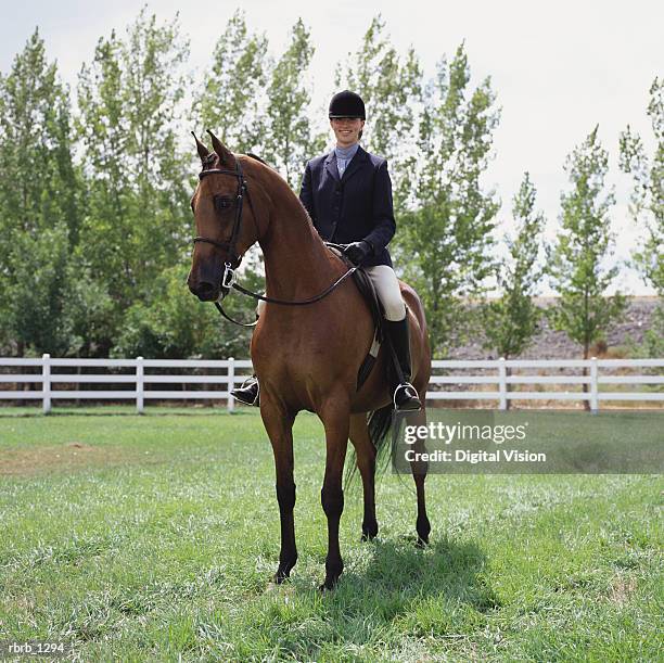 a young caucasian female horseback rider sits atop her horse in a green field - equestrian helmet stock pictures, royalty-free photos & images