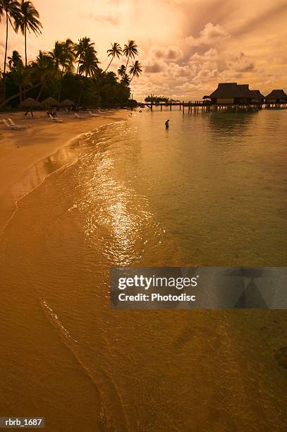 landscape photograph of a beautiful beach at sunset in tahiti - grashut stockfoto's en -beelden