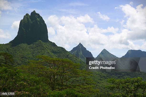 landscape photograph of the mountains and a lush green tropical forest in tahiti - plant condition stockfoto's en -beelden