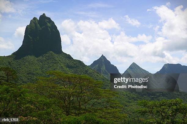 landscape photograph of the mountains and a lush green tropical forest in tahiti - flora condition stock pictures, royalty-free photos & images