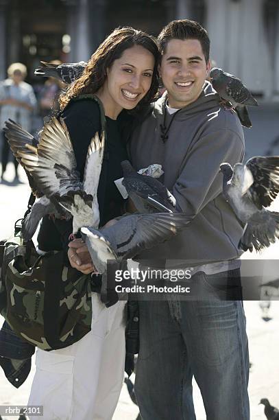 medium shot of a young adult couple as they smile while surrounded by birds - medium group of animals stock-fotos und bilder
