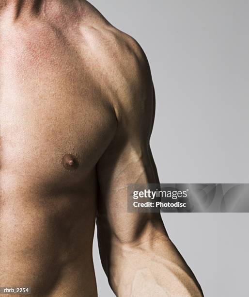 medium close up shot of the chest and arm of a male bodybuilder - brustmuskulatur stock-fotos und bilder