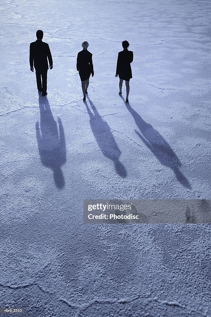 Conceptual shot of three business people as they walk together through an open desert