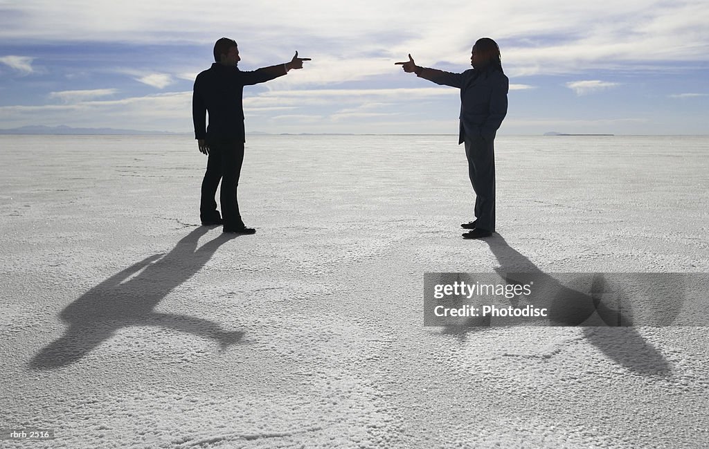 Conceptual shot of two business people as they stand in an open desert and point at each other