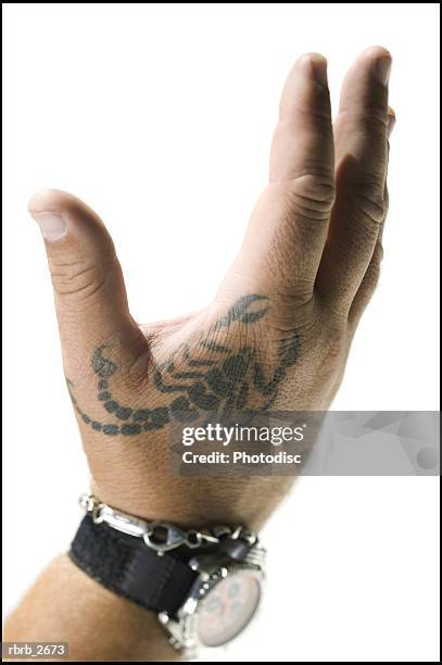 close up shot of a male hand with a tattoo - arachnid stockfoto's en -beelden