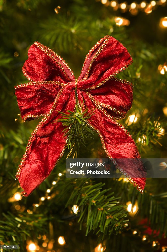 Close-up of a bow hanging on a Christmas tree