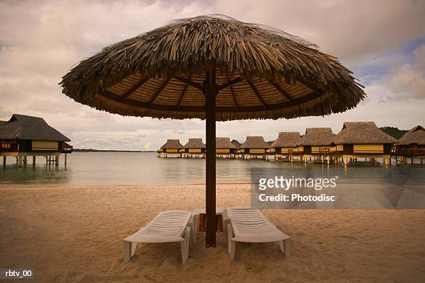 landscape photograph of two empty beach chairs under an umbrella at a tropical resort - grashut stockfoto's en -beelden