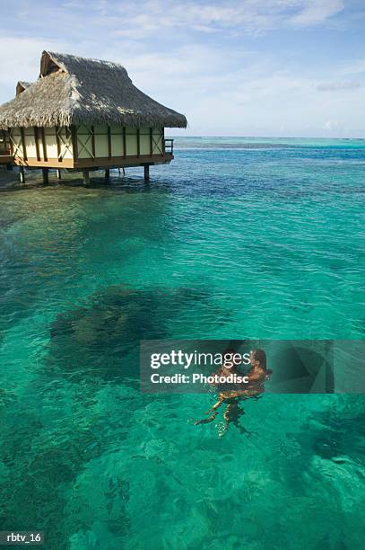 a caucasian couple embrace and swim through the clear water at a tropical resort - grashut stockfoto's en -beelden