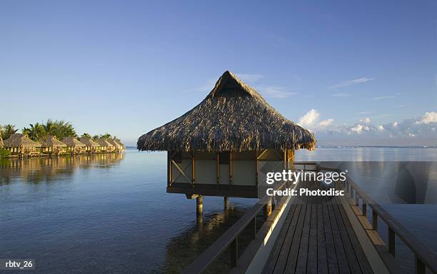 landscape photograph of a bridge and grass hut over a beautiful beach in the tropics - grashut stockfoto's en -beelden