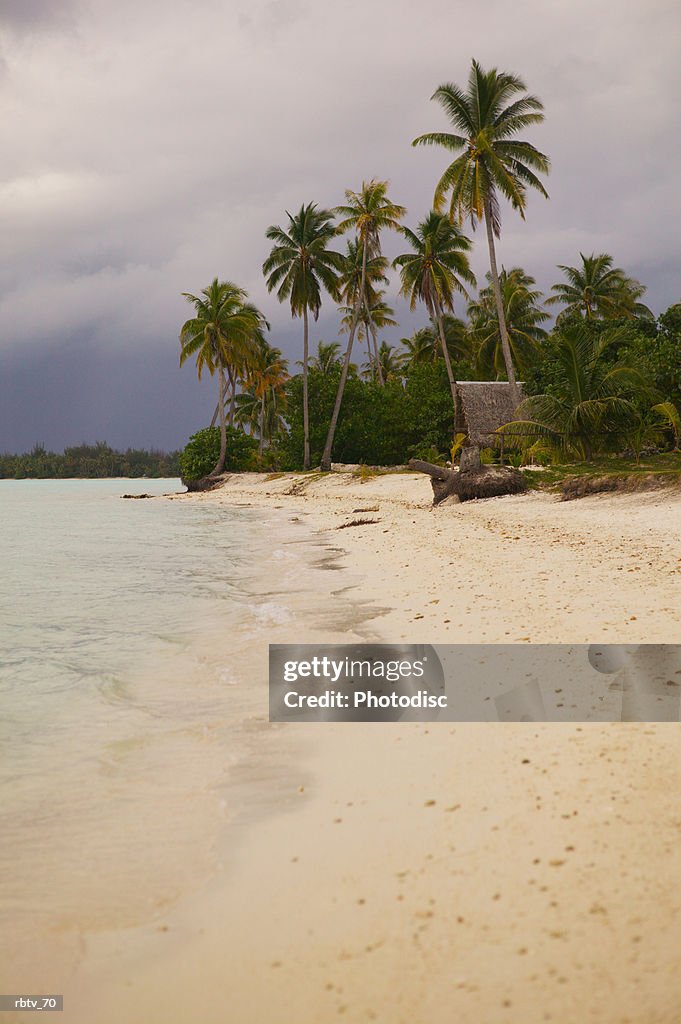 Landscape photograph of a tropical beach