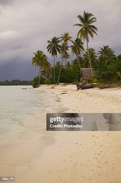 landscape photograph of a tropical beach - windward islands stockfoto's en -beelden