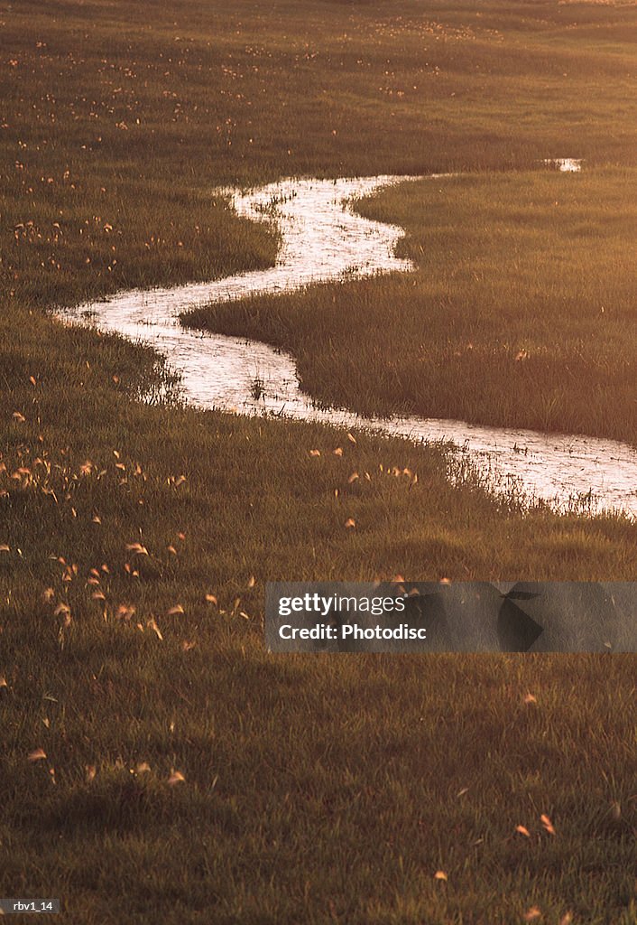 A gently rolling stream runs through an empty field