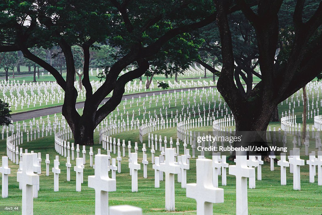 Rows of white crosses go around large green trees in a cemetery