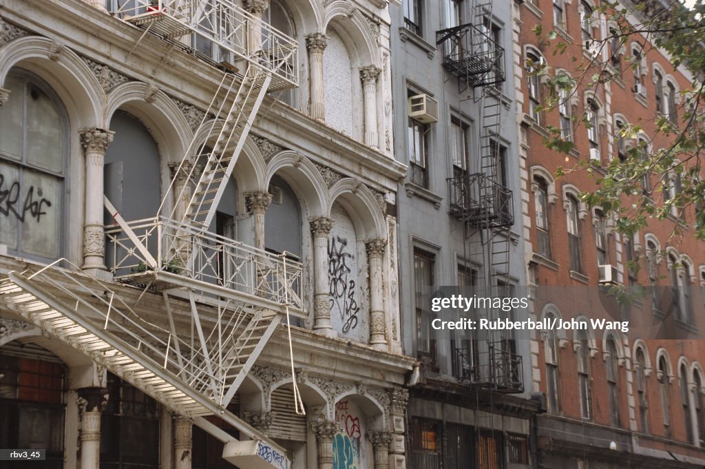 Apartment buildings rise showing their glass windows as fire escapes go from one to another and tree branches reach for them