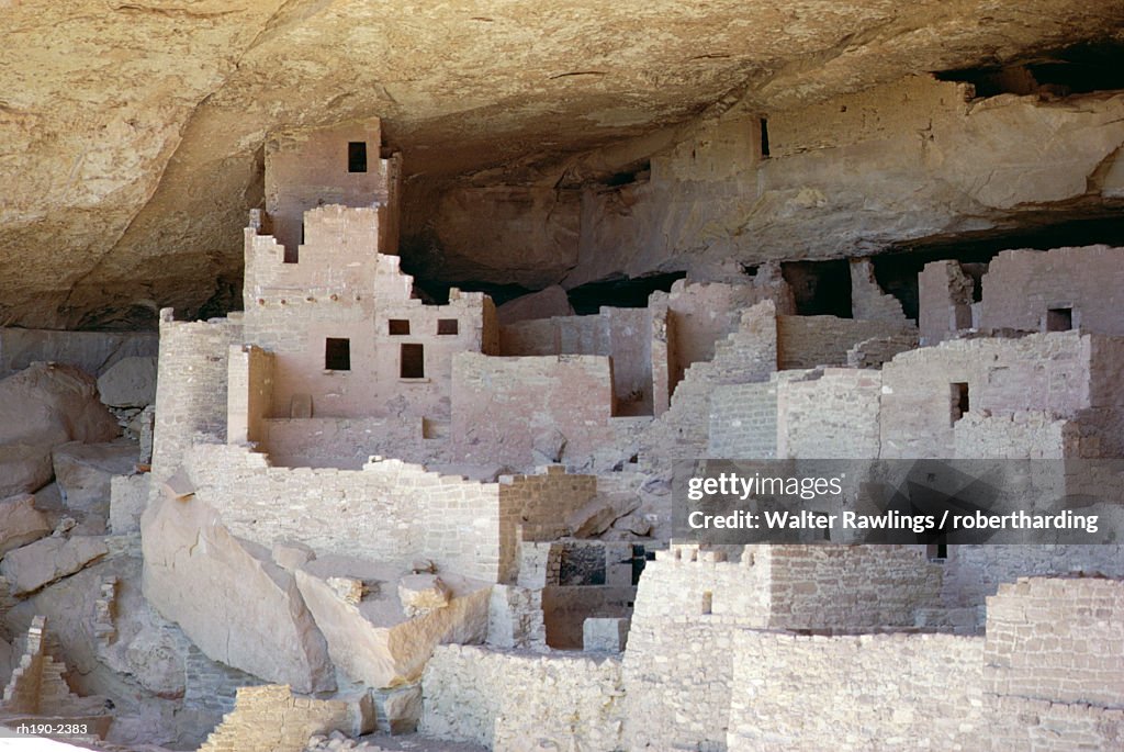 Cliff palace ruins dating from 1200-1300 AD shaded in limestone overhang, Mesa Verde, Mesa Verde National Park, UNESCO World Heritage Site, Colorado, United States of America (U.S.A.), North America