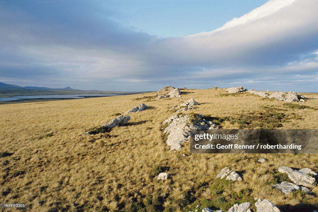 Typical landscape, East Falklands, Falkland Islands, South Atlantic