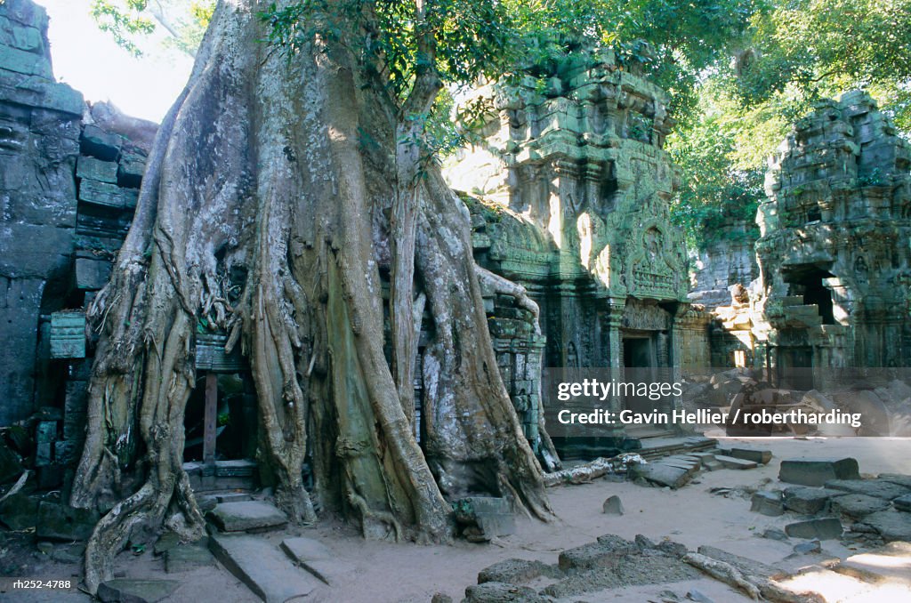 "Tree roots growing over ruins at archaeological site, Ta Prohm temple, Angkor, UNESCO World Heritage Site, Cambodia, Indochina, Southeast Asia, Asia"