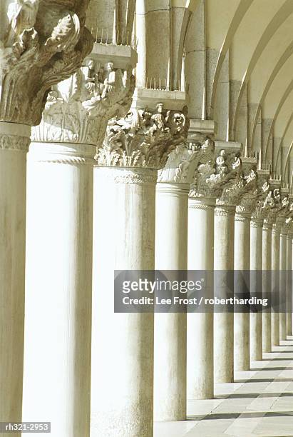 white columns of the ducale palace, st marks square, venice, italy - palace interior stockfoto's en -beelden