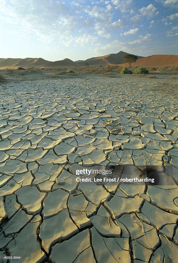 Sunbaked mud pan/cracked earth, near Sossusvlei, Namib Naukluft Park, Namibia, Africa