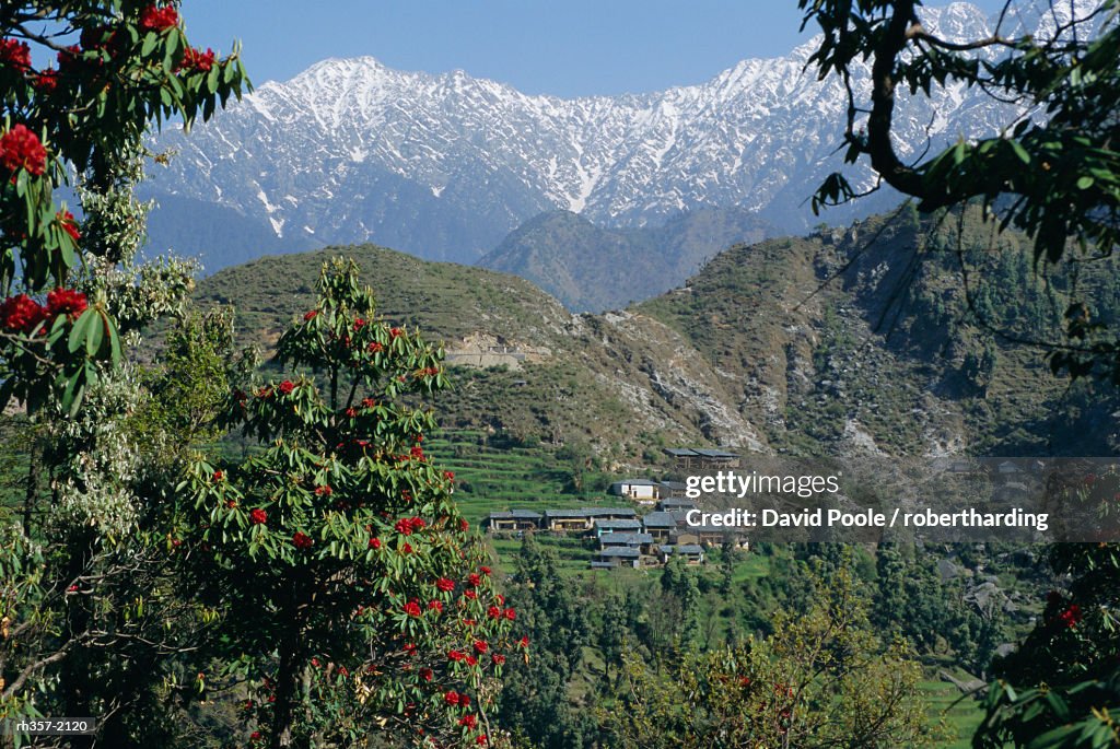 Gaddi village, Dhaula Dhar Range, western Himalayas, India, Asia