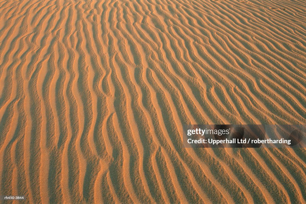 Sand ripples, between Kharga and Dakhla oases, Western Desert, Egypt, North Africa, Africa