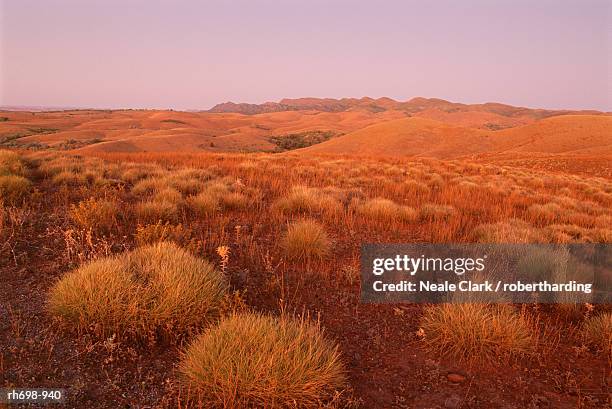 stokes lookout, flinders range, south australia, australia, pacific - flinders ranges stock-fotos und bilder