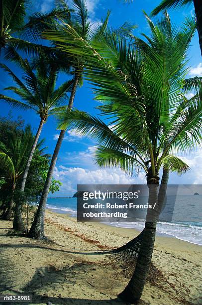 palm cove, with double island beyond, north of cairns, queensland, australia - palm island australia stock pictures, royalty-free photos & images