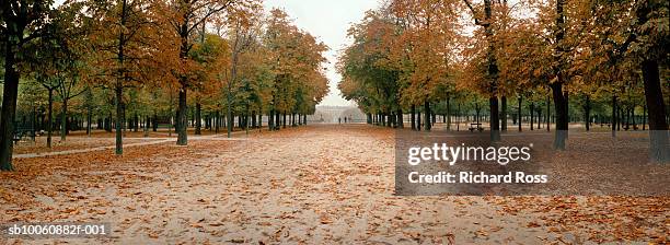 city park in autumn - fall park stock pictures, royalty-free photos & images