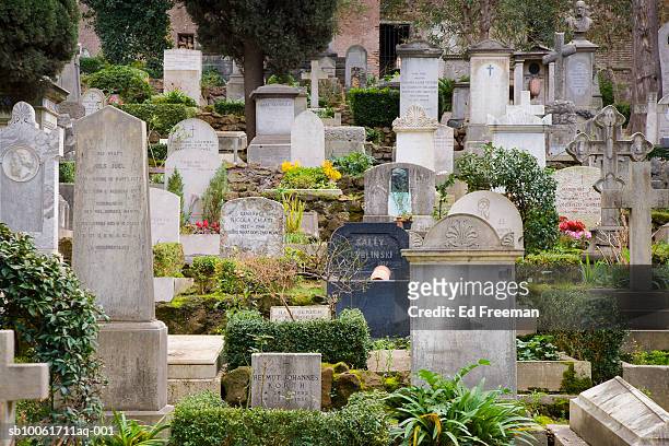 campo cestino cemetery for non-catholic foreigners - churchyards stock pictures, royalty-free photos & images