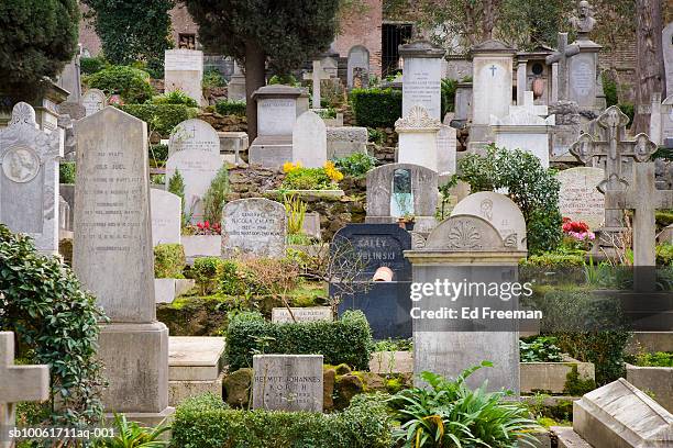 campo cestino cemetery for non-catholic foreigners - the cemetery for foreigners bildbanksfoton och bilder