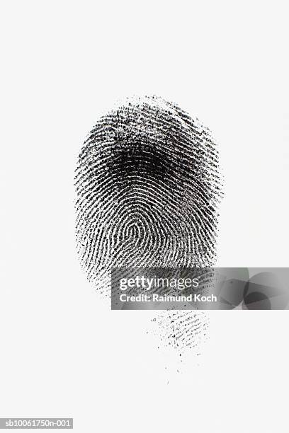 ink fingerprint against white background - fingerprinting stock-fotos und bilder