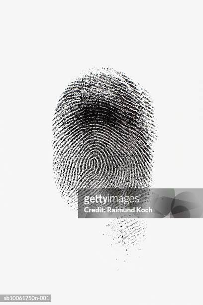 ink fingerprint against white background - fingerprint stock pictures, royalty-free photos & images