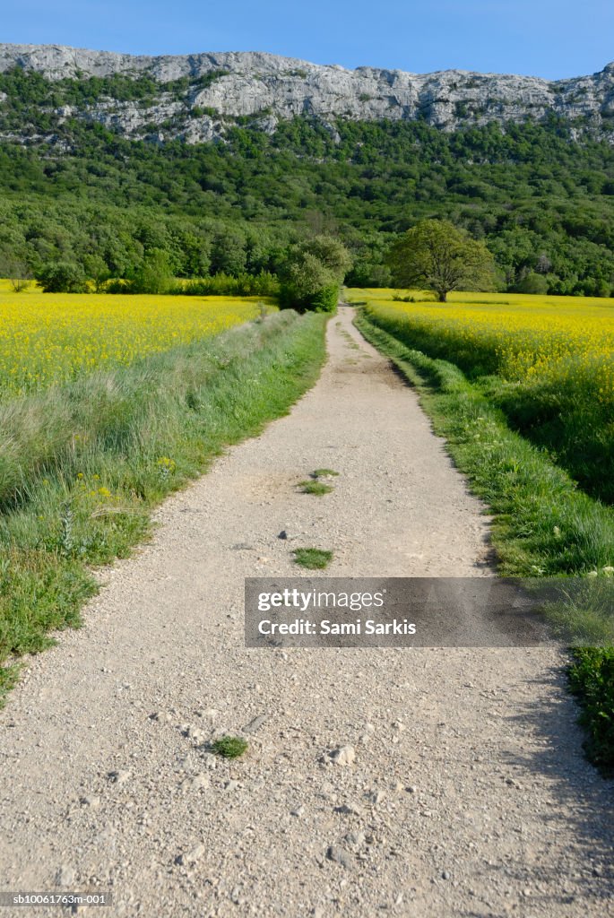 France, Provence, path leading to the Sainte-Baume Mountain