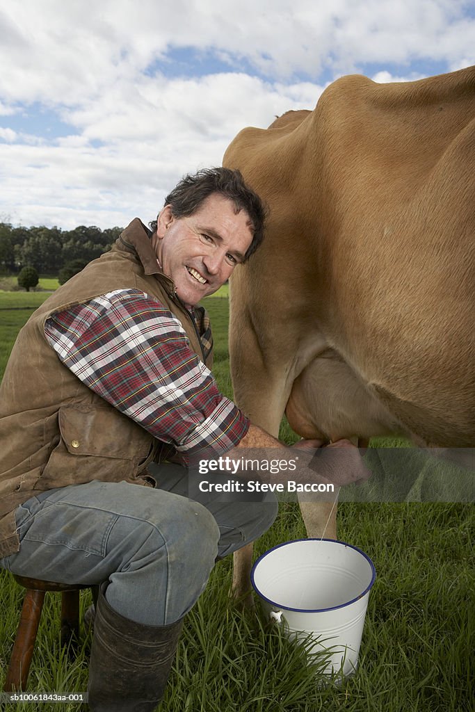 Portrait of mature man milking cow on meadow