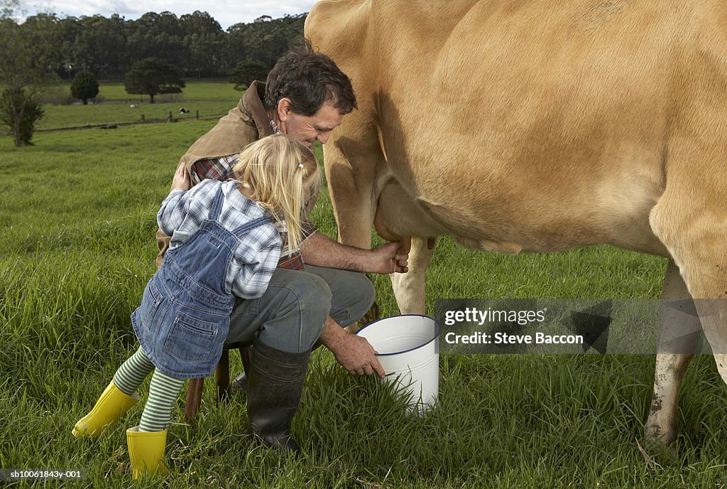 Father and daughter (3-4) milking cow in meadow