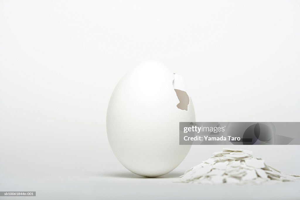 Broken white egg shell