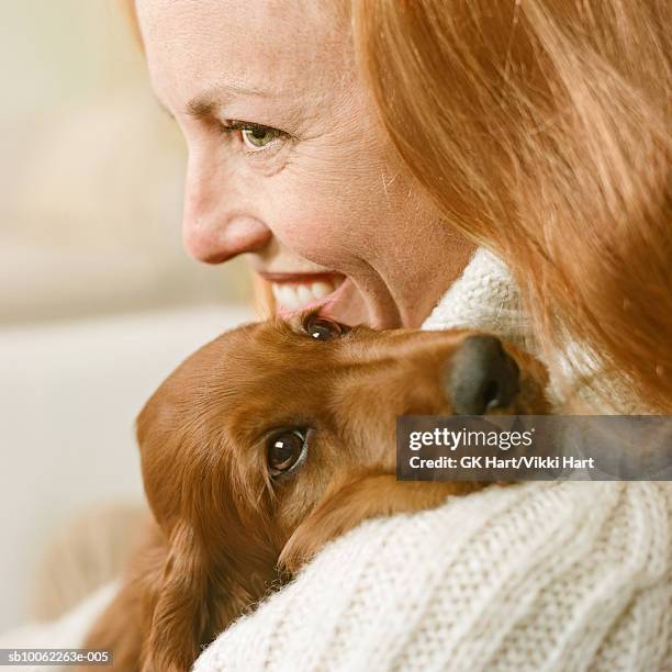 woman holding irish setter puppy, close-up - setter stock pictures, royalty-free photos & images