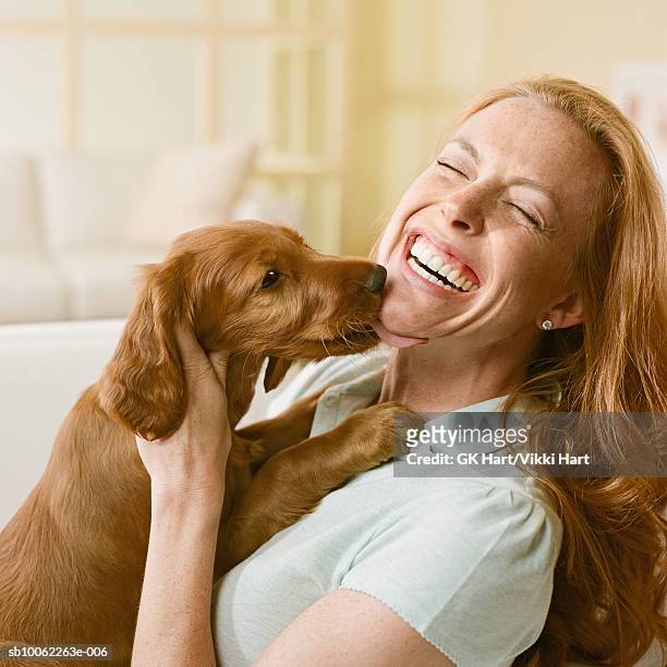 irish setter puppy licking woman's face - women licking women stock pictures, royalty-free photos & images