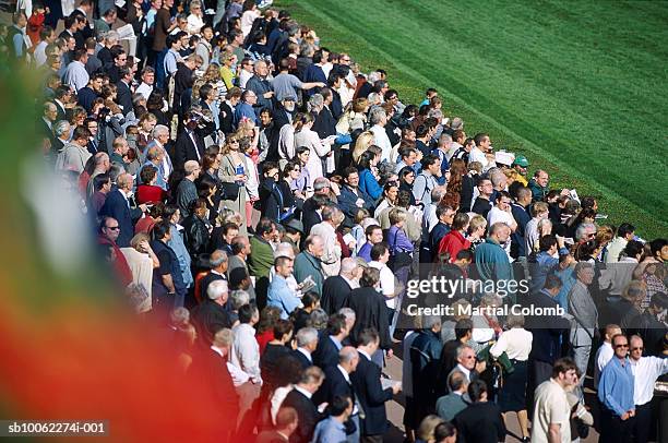 crowd of people at horse races, elevated view - horse racing crowd stock-fotos und bilder